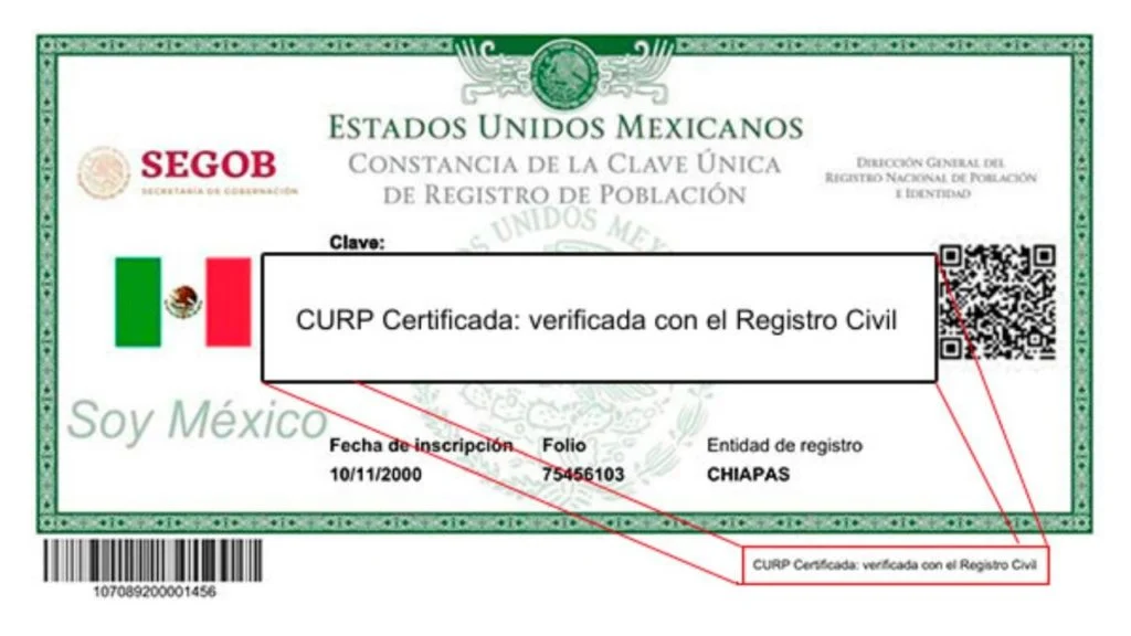 Verificación CURP certificada